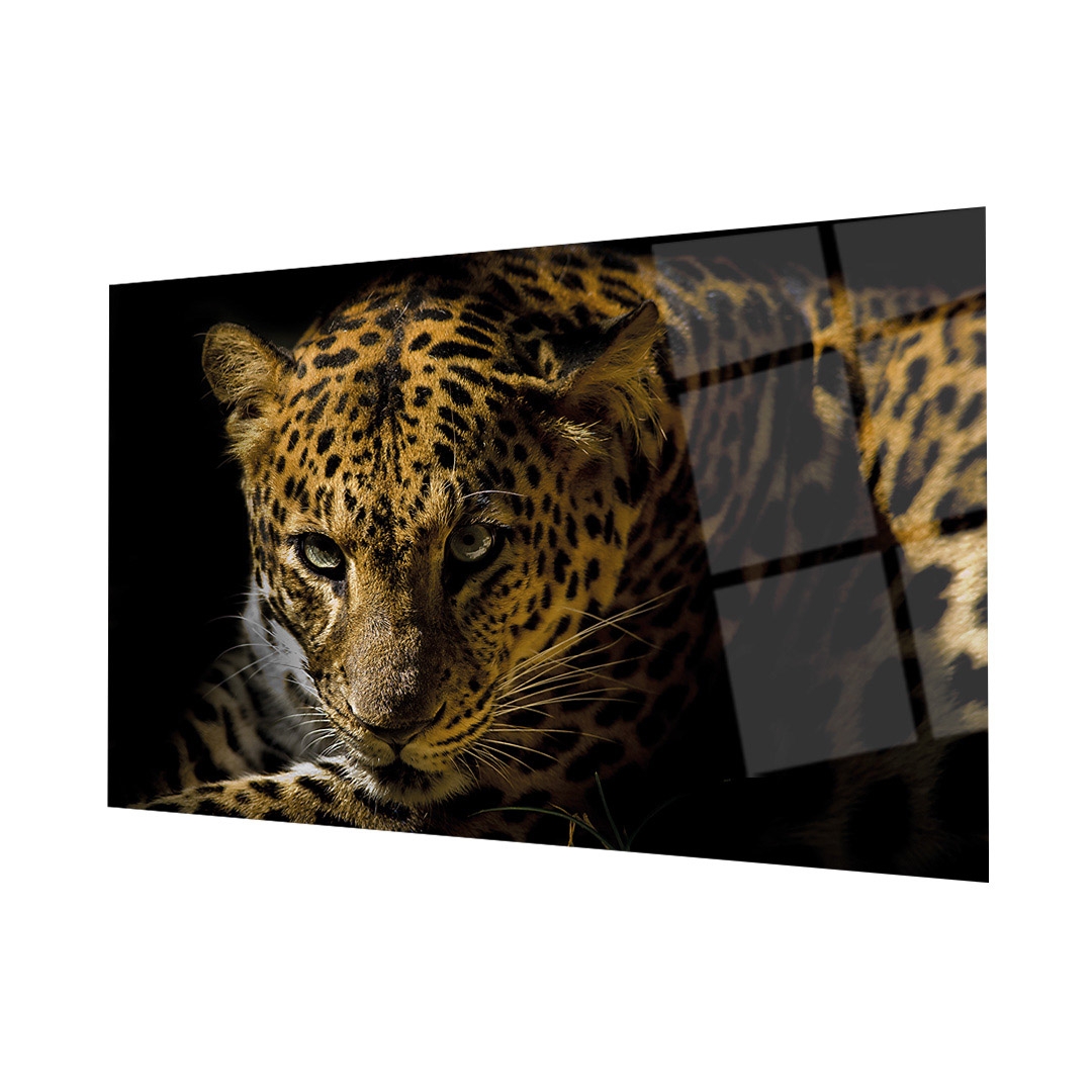 Leopar%20Hayvan%204mm%20Dayanıklı%20Cam%20Tablo%20Temperli%20Cam,%20Leopard%20Glass%20Wall%20Decor