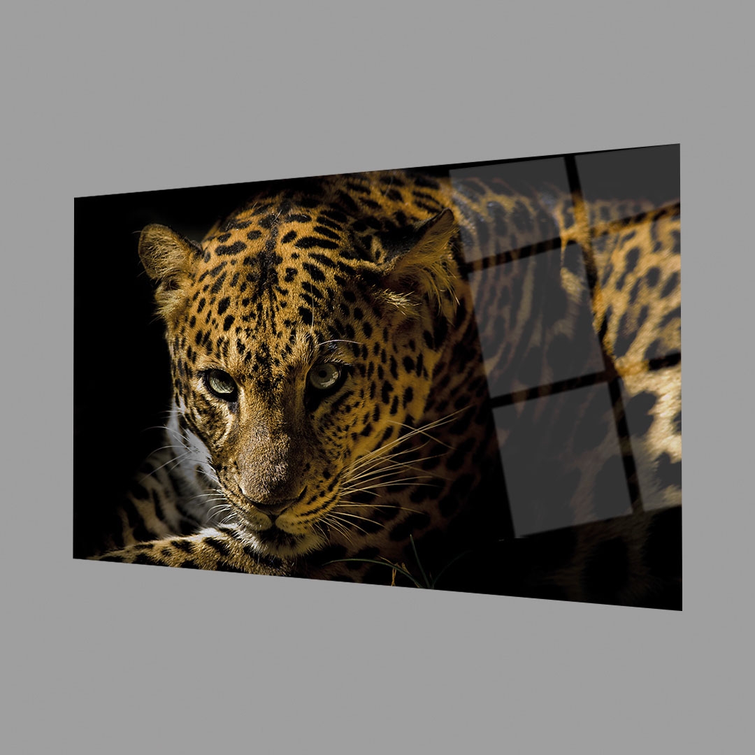 Leopar%20Hayvan%204mm%20Dayanıklı%20Cam%20Tablo%20Temperli%20Cam,%20Leopard%20Glass%20Wall%20Decor